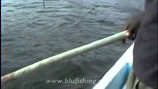 Fishing video: Capitaine