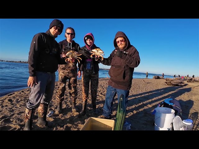 Catching Giant Crabs On A Beach - Oregon Crabbing