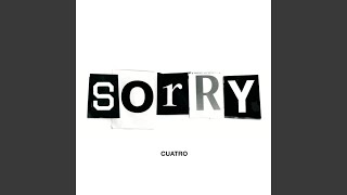 Dinero - Sorry