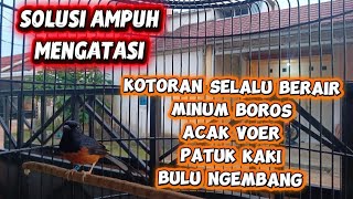 Download Lagu CARA MENGATASI KOTORAN SELALU BERAIR DAN MINUM BOROS MP3