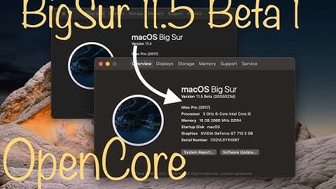 11.5 beta 1   Updated using OpenCore 0.6.6 (HD 1080p)