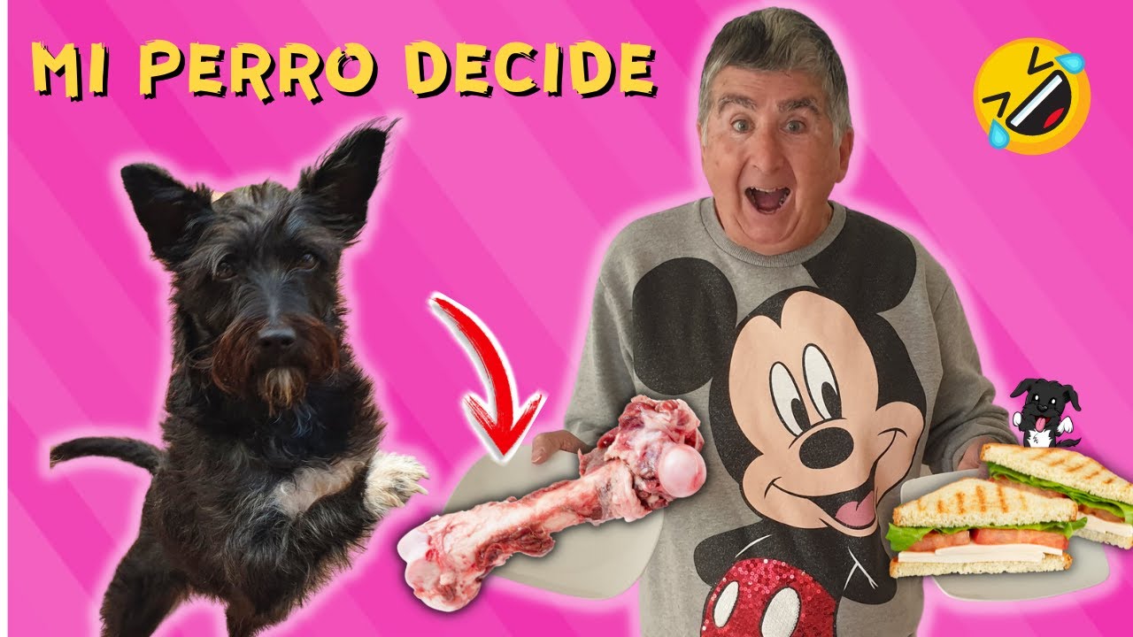 MI PERRO DECIDE MI DÍA! Durante 24 HORAS! Lana y Súper Abu