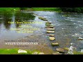 Stepping stones 04242024