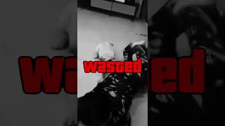 Sorry, I Had To Do This... Skychannelofficial