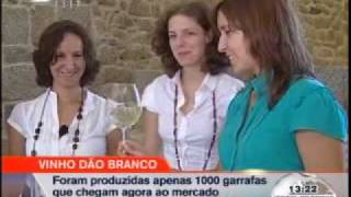 Vinho Dão Branco