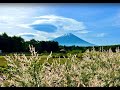 ピーターラビット™イングリッシュガーデン(富士芝桜まつり)ライブカメラ / Live Camera English Garden(Fuji Shibazakura Festival)