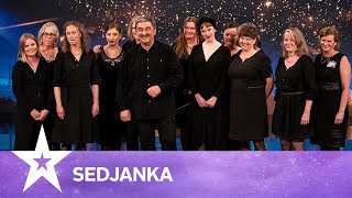 Sedjanka | Danmark har talent 2019 | Audition 6