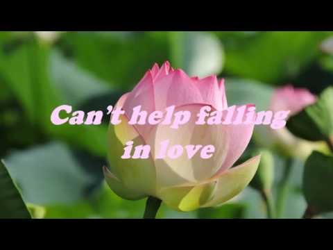 Can T Help Falling In Love 好きにならずにいられない 日本語に訳してcover Youtube Can T Help Falling In Love 好きにならずにいられない 日本語に訳してcover Youtube