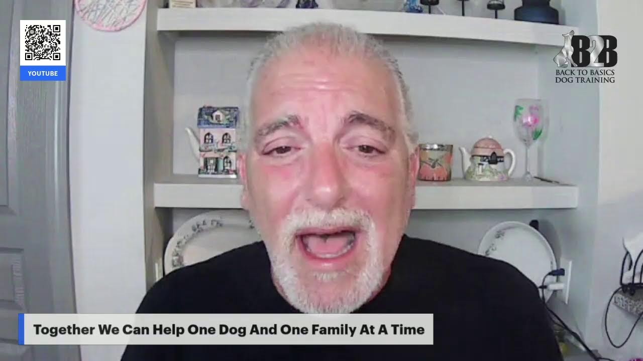 FREE Dog Training With Back To Basics Dog Training YouTube FREE Dog Training With Back To Basics Dog Training YouTube