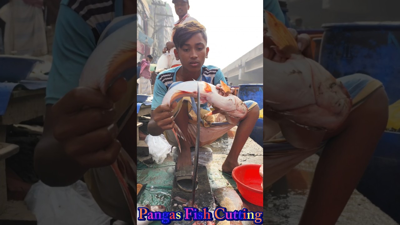 Amazing Great Delicious Pangas Fish Cutting Techniques | Fish Cutting Skills
