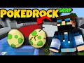 BORA PEGAR POKEMON - SERIE MULTIPLAYER DE POKEMON