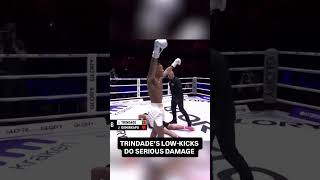 Miguel Trindade unleashed hellish low-kicks to earn the Featherweight Title 😤 #GLORY110
