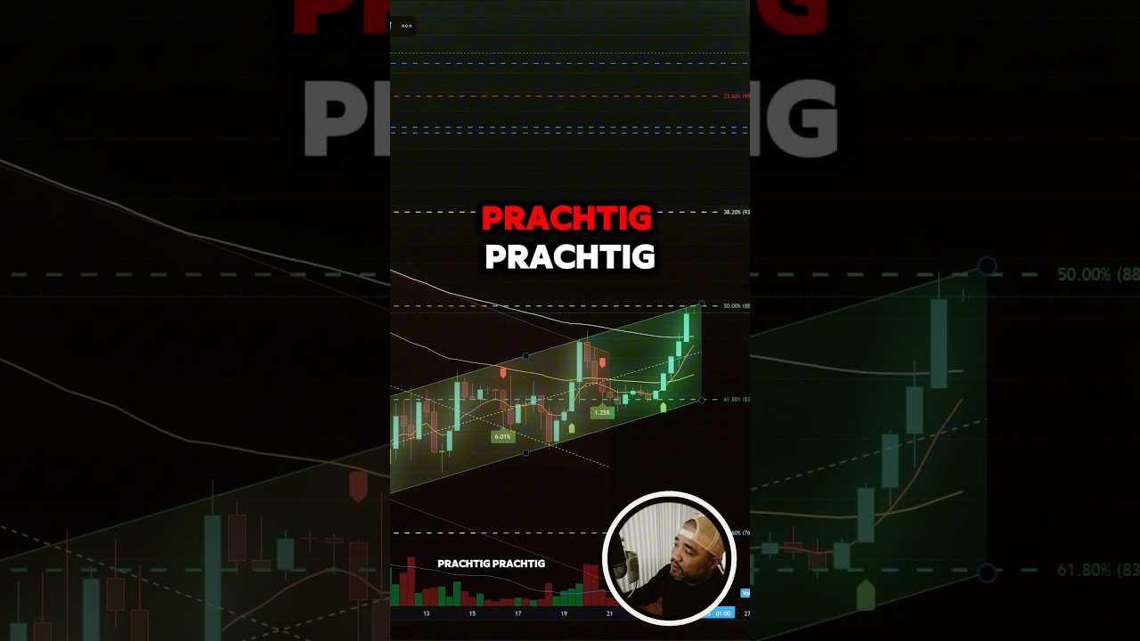 Technische Analyse - The Beauty of Charting 