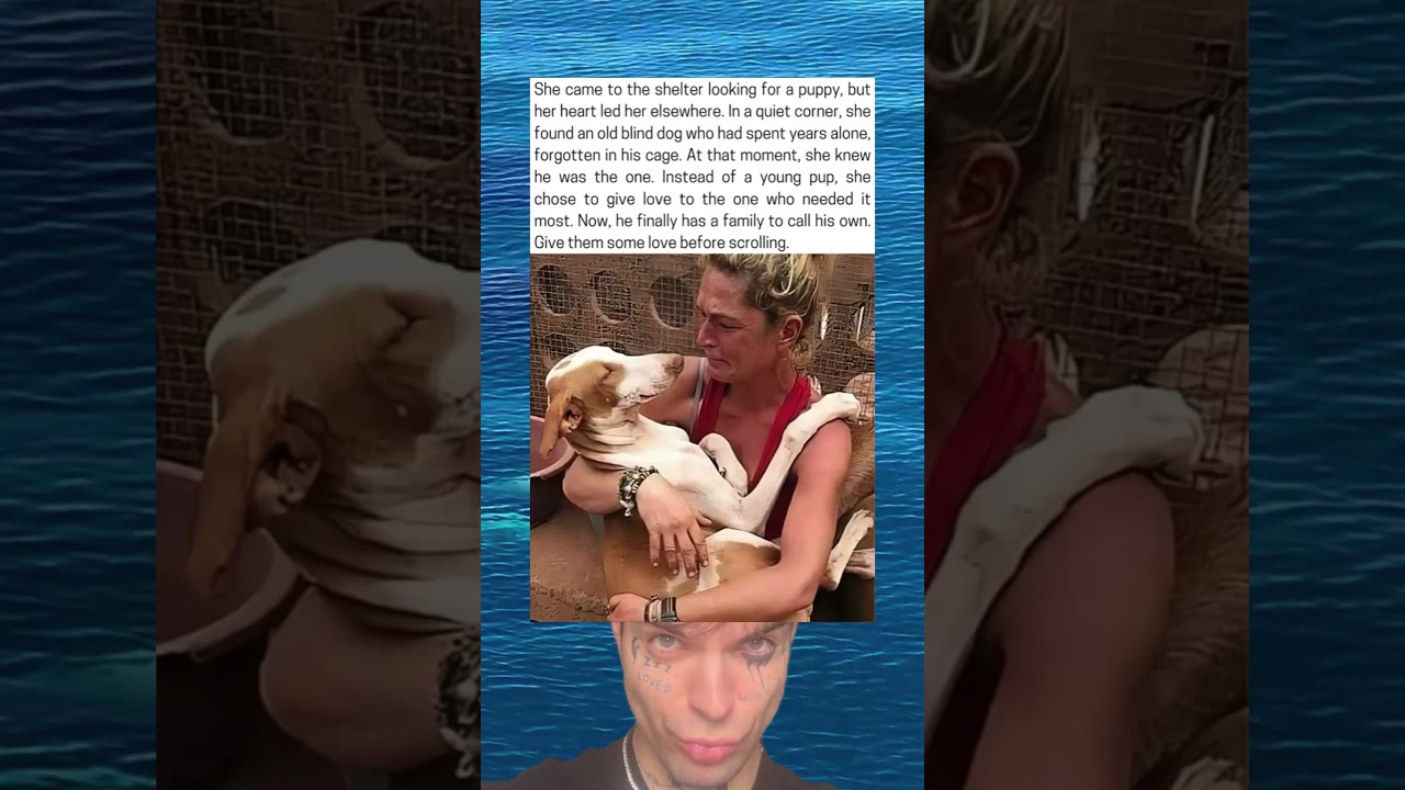 Blind Shelter Dog Gets Adopted After Waiting For Years