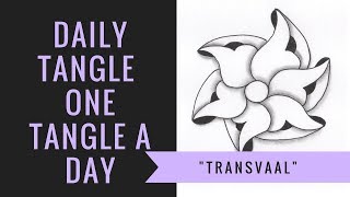 Daily Tangle - Transvaal