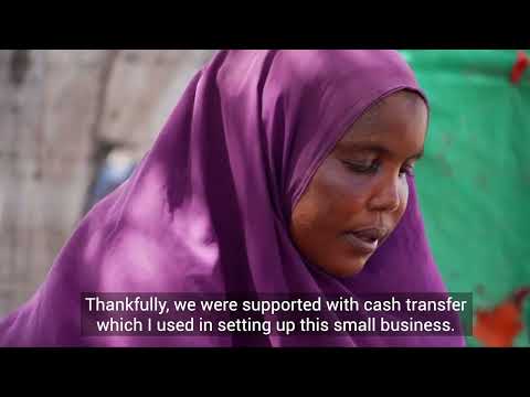 Impact of unconditional cash transfers to IDP's during the COVID-19 pandemic- small business
