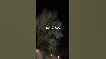 يأيها الذين آمنوا 💗ماهر المعيقلي تلاوة خاشعة حالات واتس اب قرآن كريم 💛💛