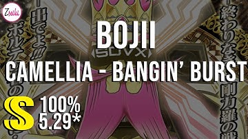 bojii | Camellia - Bangin