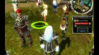 Weird Guild Wars Glitch