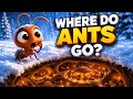 The Secret Underground Winter Life of Ants! ❄️🐜 | Kids Science Story | @KidsTalesTV #kidslearning