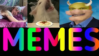Best Memes Compilation V5