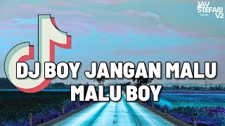 DJ BOY JANGAN MALU MALU BOY REMIX VIRAL TIKTOK TERBARU