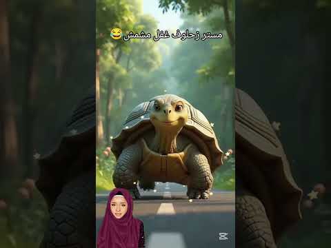 مستر زحلوف غفل القط مشمش وهوه الي كسب