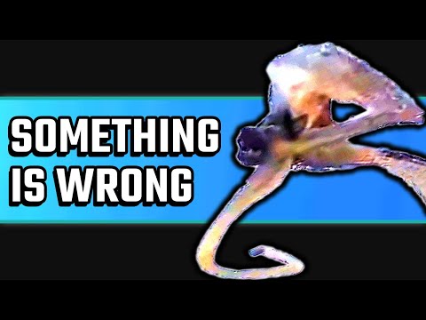 Call of Duty: Vanguard - Something is WRONG with this beta!