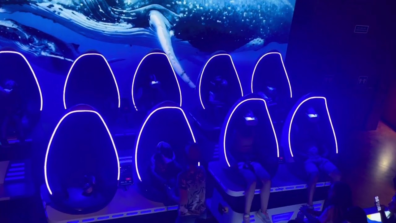 beautiful aquarium experience Oceanografic