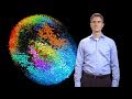 Single-Cell Imaging and Reconstructing Mouse Development - Philipp Keller (Janelia/HHMI)