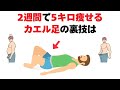 【驚愕】カエル足腹筋の裏技で激やせ！2週間で5キロ痩せる方法