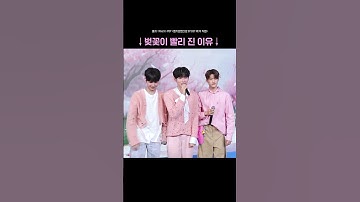 벚꽃이 빨리 진 이유 #엠카운트다운 #엠카 #MCOUNTDOWN#샤인멍또캣 #성한빈 #ZEROBASEONE #명재현 #BOYNEXTDOOR #소희 #RIIZE