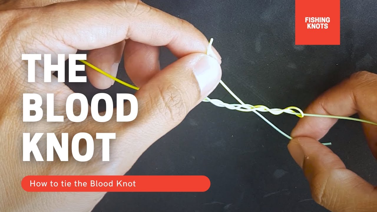Fishing Knots: How to tie the Blood Knot - YouTube