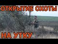 Открытие сезона охоты на утку