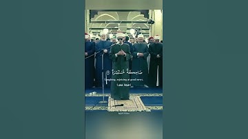 ( فَإِذَا جَاءَتِ الصَّاخَّةُ ) تلاوة مؤثرة للقارئ محمد أحمد حسن لآيات من سورة عبس #quran #قرآن