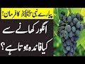 Benifit of Eating Grapes | Angor Khany Ky Fowaid | Eating Grapes In Islam AA NEWS NETWORK  #JummahMubarak