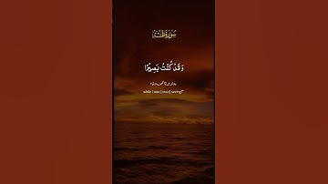 سورة طه. #اسلام #اكسبلور #المصحف #راحة_نفسية #الرحمن #تلاوة_خاشعة #لايك #قرآن #قران_كريم
