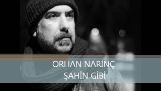 ORHAN NARİNÇ- ŞAHİN GİBİ Söz Müzik= Orhan Natinç Resimi