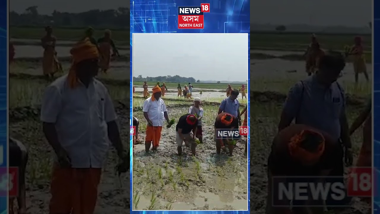 বঢ়মপুৰত কৃষকৰ ৰূপত কৃষি মন্ত্ৰী পীয়ুষ হাজৰিকা  #shorts N18S 28.06.2026 