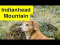 Idaho Native Plants: Indianhead Mountain #2