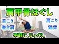 【肩こりすっきり】肩甲骨ほぐしのストレッチで首こり肩こり知らずへ！