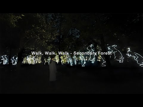 241205 Walk, Walk, Walk   Secondary Forest