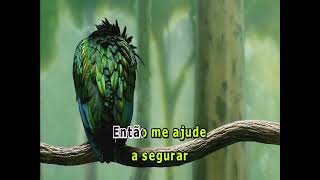 03046 - Raça Negra - CHEIA DE MANIAS -==Karaoke–Videoke – Playback