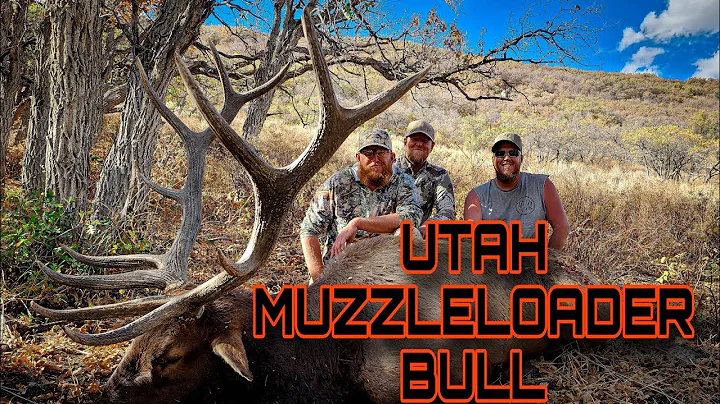 MUZZLELOADER BULL ELK UTAH 2024 ELK HUNTING BIG BULL ELK