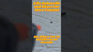 Fly Hunting Using A Salt Shotty #fliesrepellent #pestcontrol #howto #bugasalt