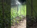 Homemade sprinkler system hack 