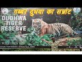 Dudhwa Tiger Reserve | Jungle Safari | दुधवा जंगल सफारी | wildlife #tigersafari
