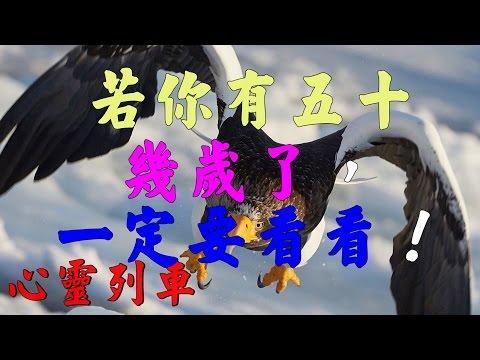 【心靈列車 】 若你有五十幾歲了，一定要看看！：經過三十年的奮鬥，閱歷豐富，心寬了；爭過了；拚過了；得意過；失意過；該有的都有了，不該有的也不作非分之想，一切都習慣了…