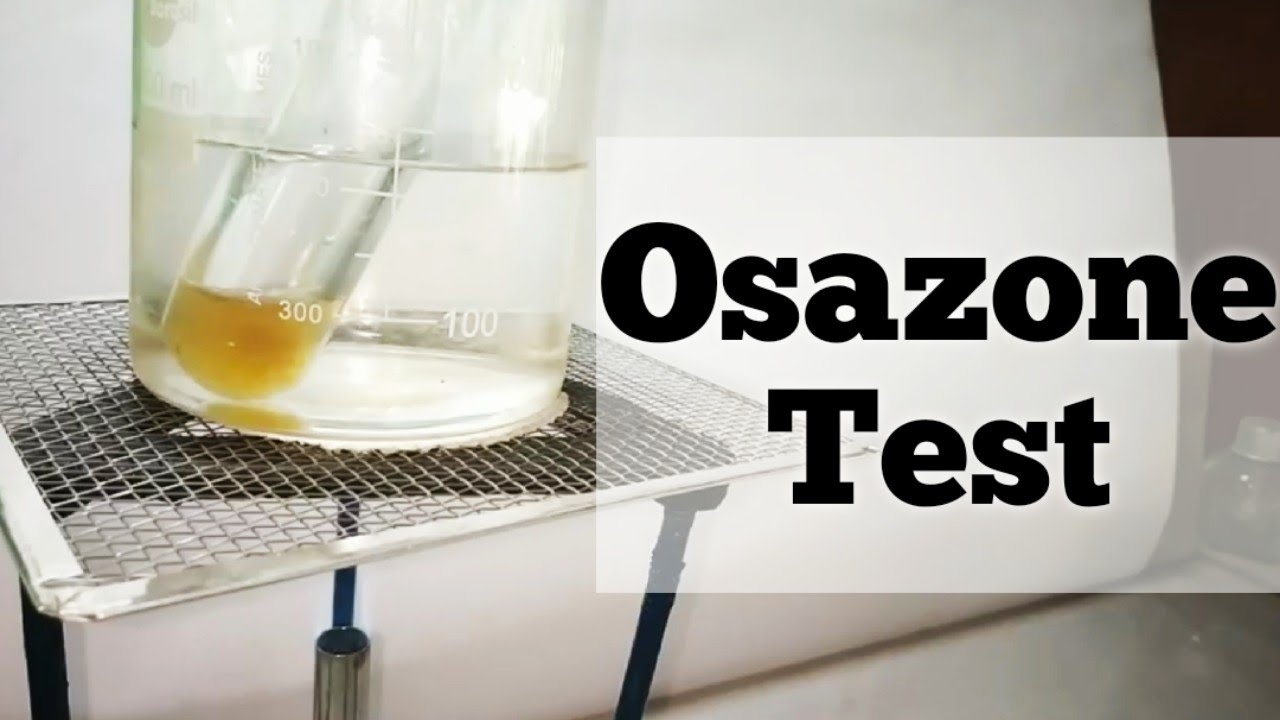 Osazone Test for reducing sugars Biochemistry practical YouTube