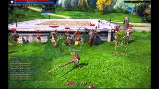 [Tera HD] Melee Animation/Range Comparisons @Domeran